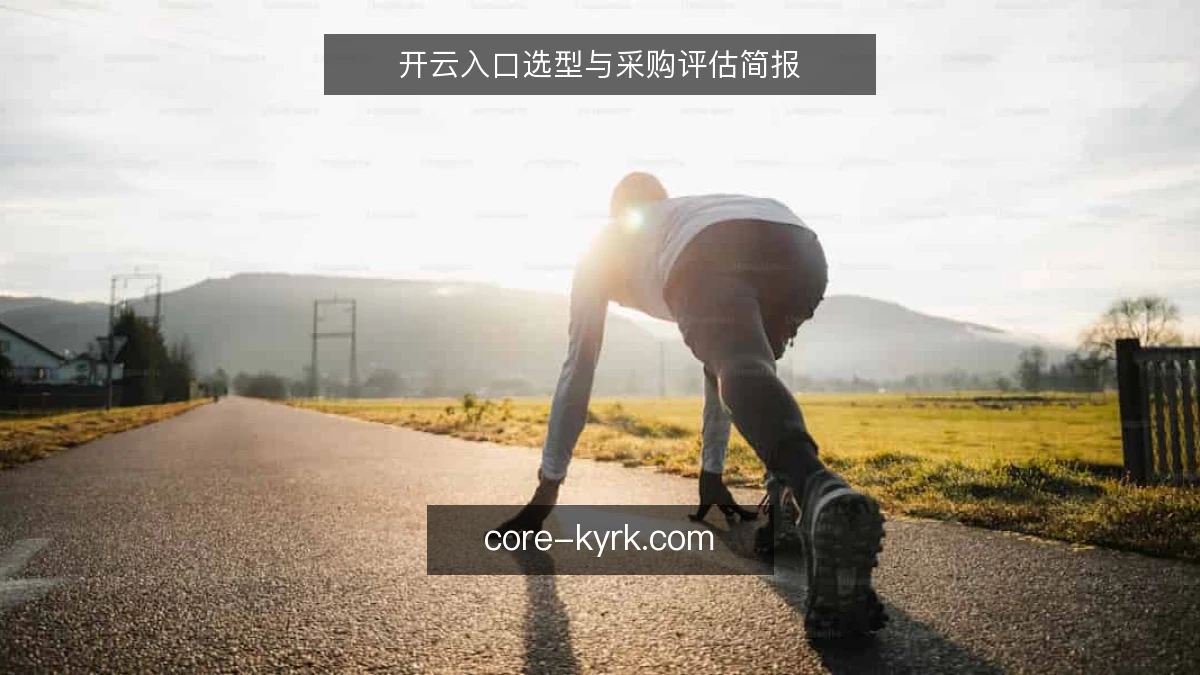 开云入口选型与采购评估简报