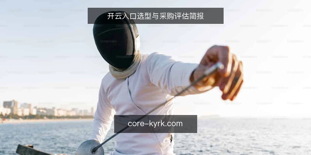 开云入口选型与采购评估简报 — 明确访问需求 配图