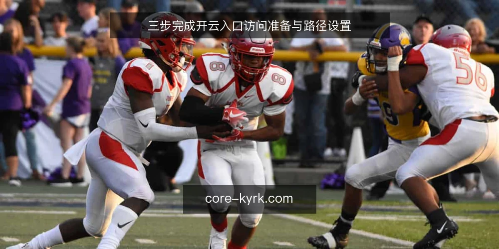 三步完成开云入口访问准备与路径设置 — 准备：核对设备与网络环境 配图