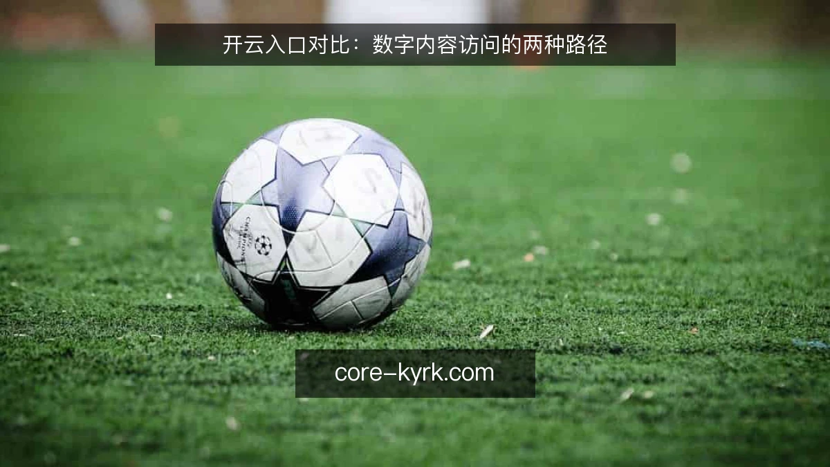 开云入口对比：数字内容访问的两种路径