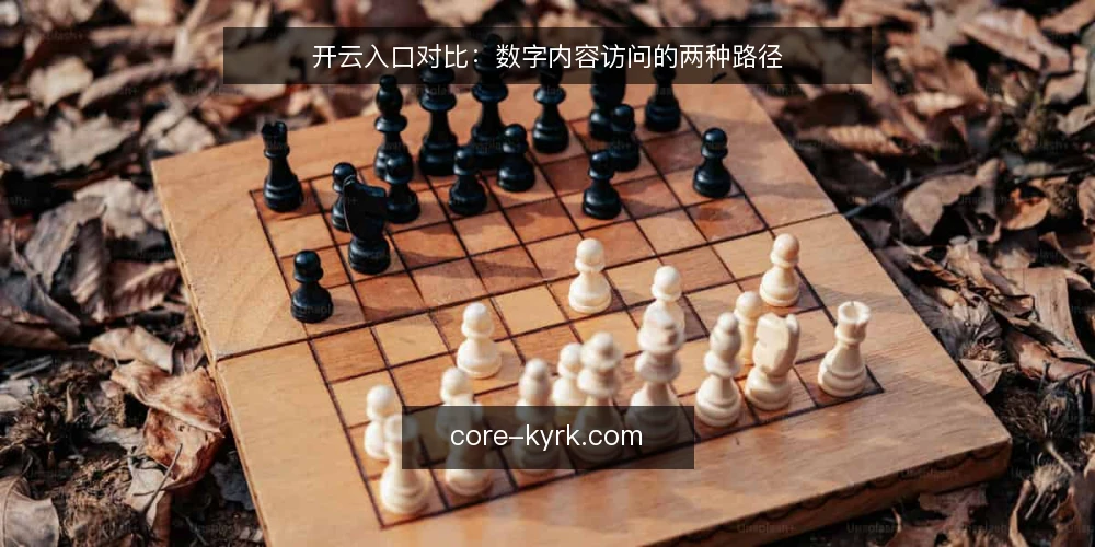 开云入口对比：数字内容访问的两种路径 — 误区一：入口越直接越好 配图