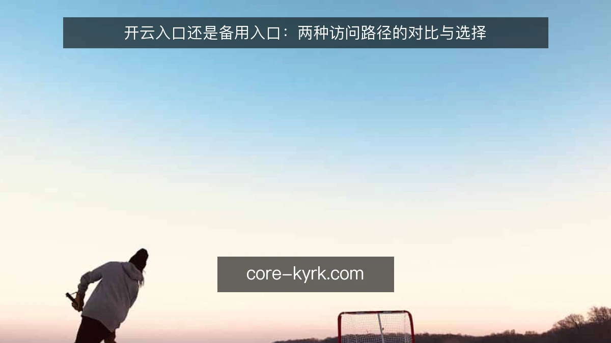 开云入口还是备用入口：两种访问路径的对比与选择