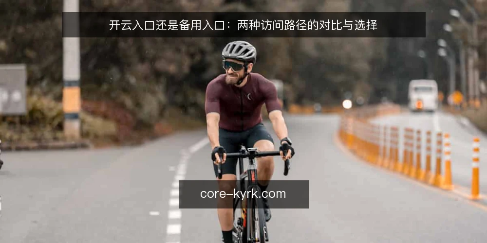 开云入口还是备用入口：两种访问路径的对比与选择 — 为什么现在要审计入口选择 配图