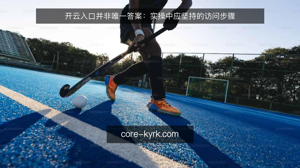 开云入口并非唯一答案：实操中应坚持的访问步骤