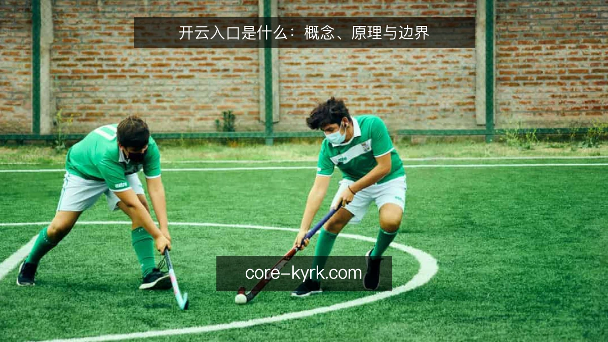 开云入口是什么：概念、原理与边界