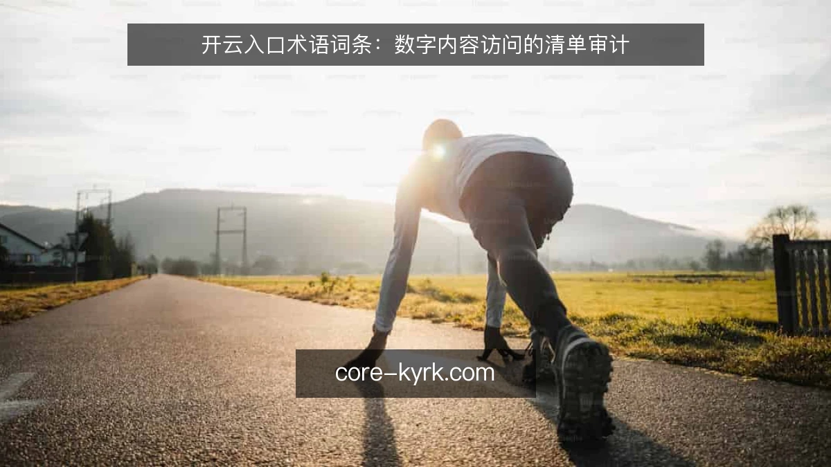 开云入口术语词条:数字内容访问的清单审计