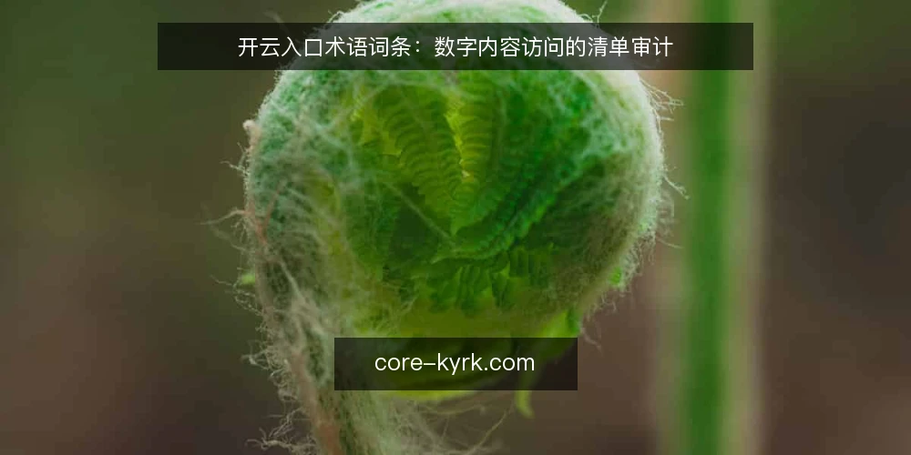 开云入口术语词条:数字内容访问的清单审计 — 为什么现在做术语审计 配图