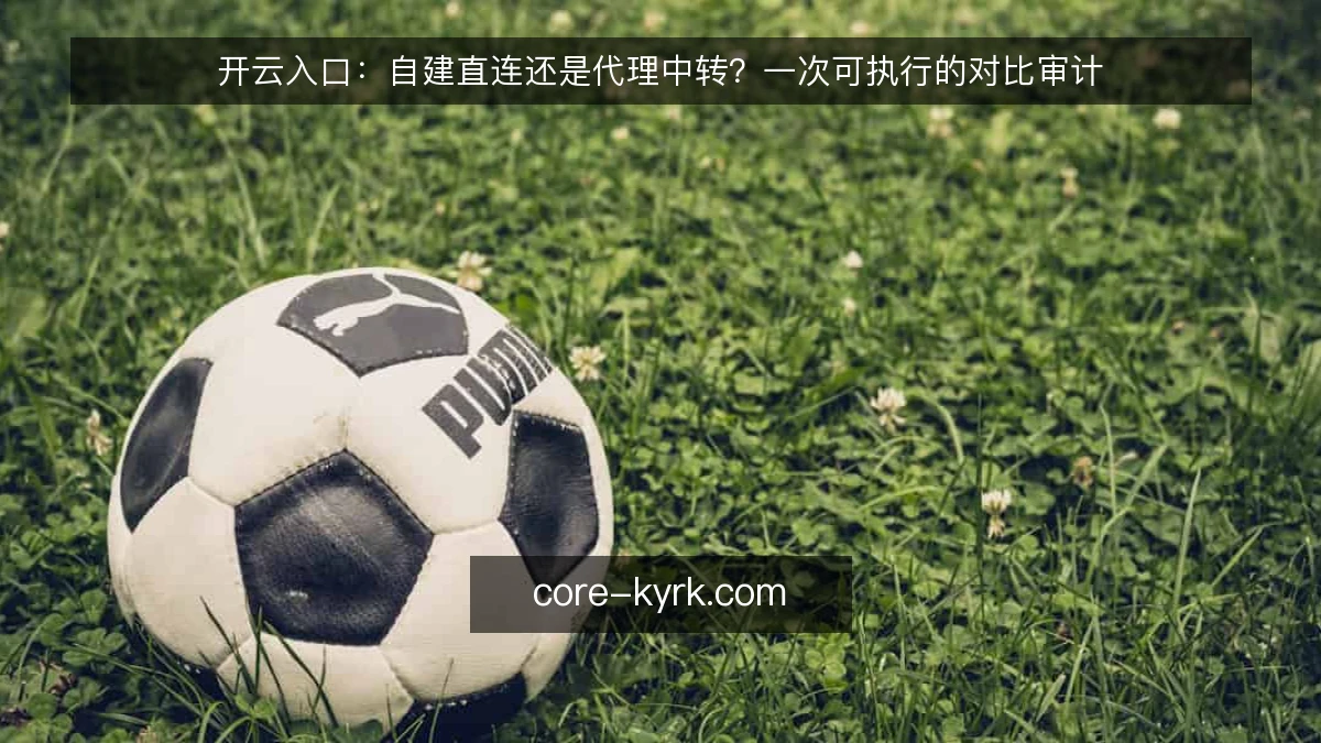 开云入口：自建直连还是代理中转？一次可执行的对比审计