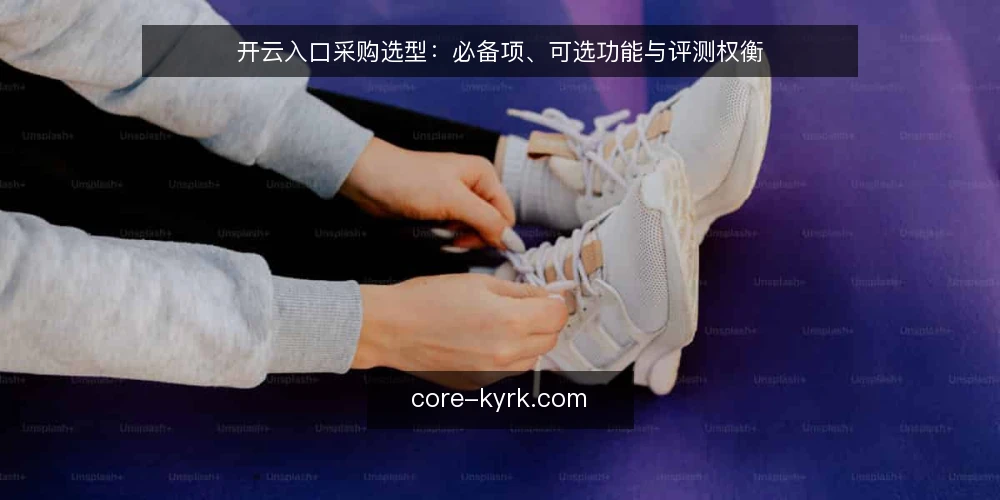 开云入口采购选型:必备项、可选功能与评测权衡 — 先定选型标准:开云入口的必备与可选 配图