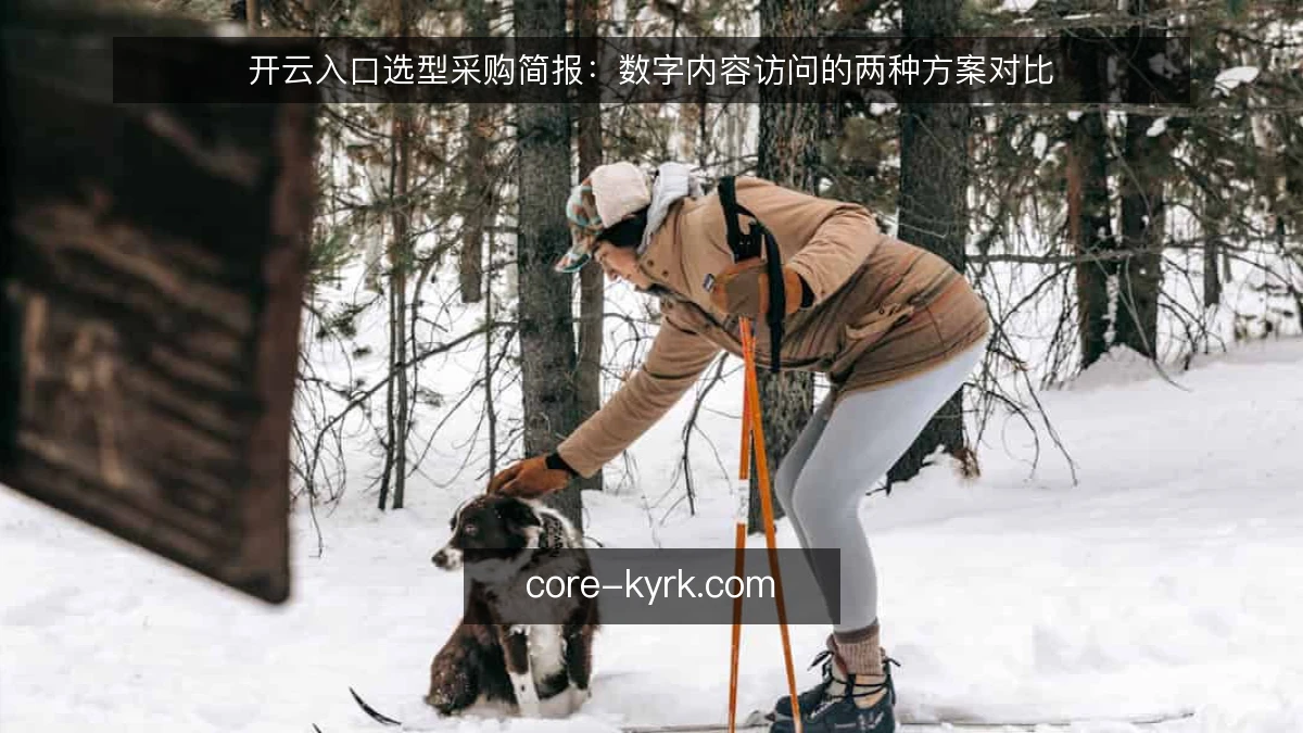 开云入口选型采购简报：数字内容访问的两种方案对比