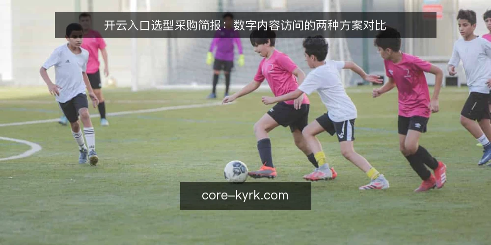 开云入口选型采购简报：数字内容访问的两种方案对比 — 先定评测标准：开云入口采购的必备与可选项 配图